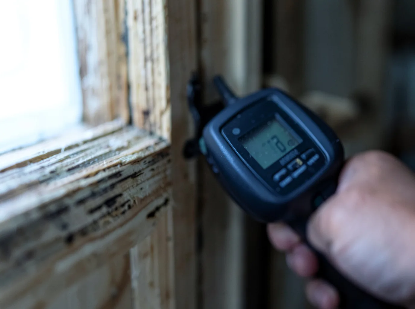 Moisture Inspection And Documentation in New Hampton, NY